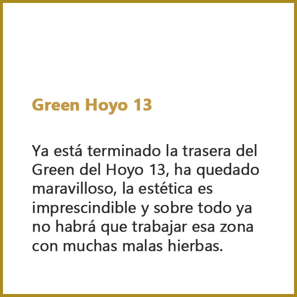 Green Hoyo 13