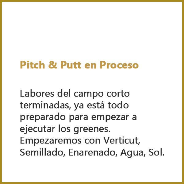 Pitch & Putt en Proceso