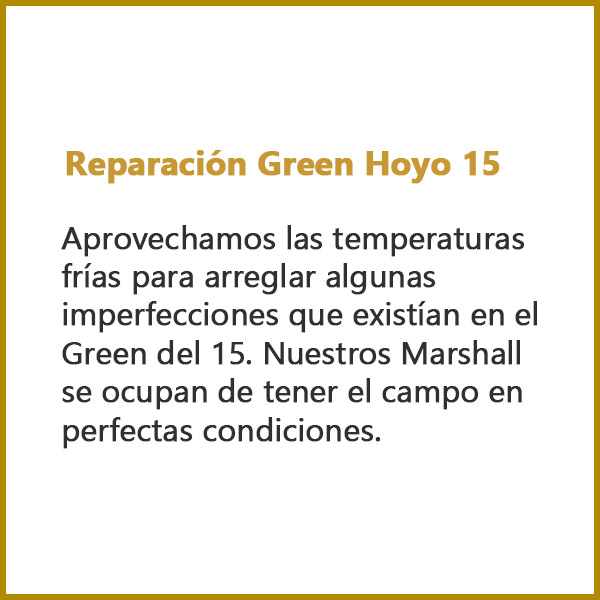 Reparación Green Hoyo 15
