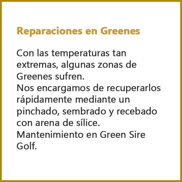 Reparacion Greenes