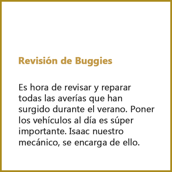Revisión de Buggies