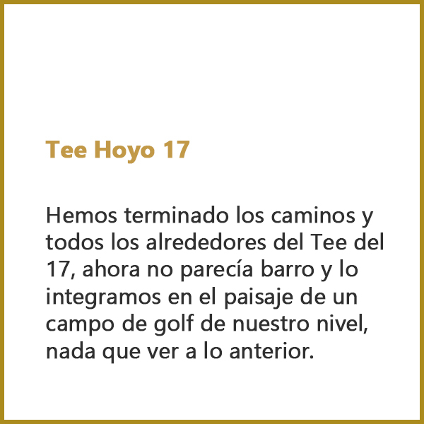 Tee Hoyo 17