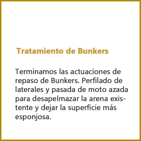 Tratamiento de Bunkers