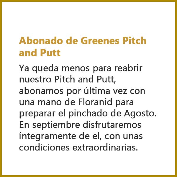 Abonados de Greenes Pitch and Putt