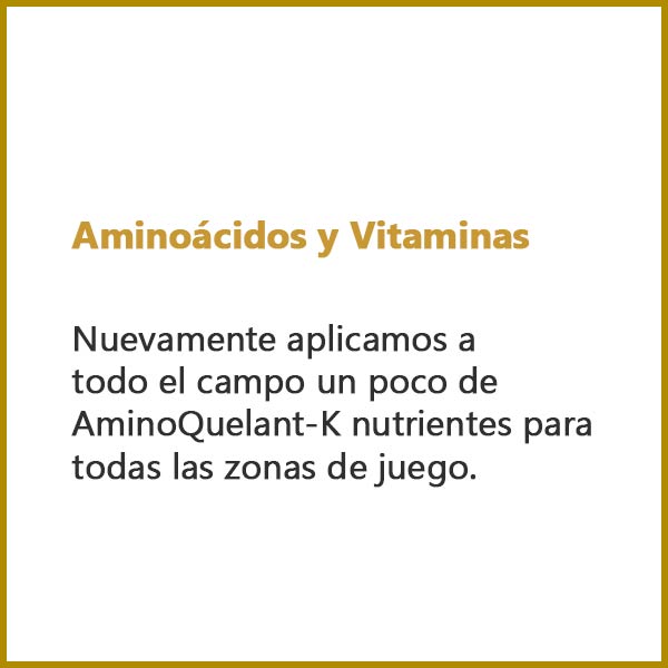 Aminoácidos y Vitaminas