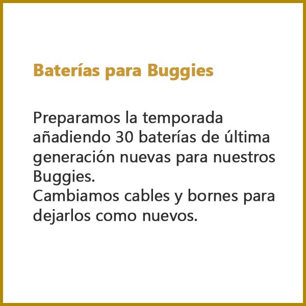 Baterías para Buggies