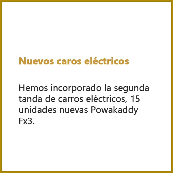 carros electricos
