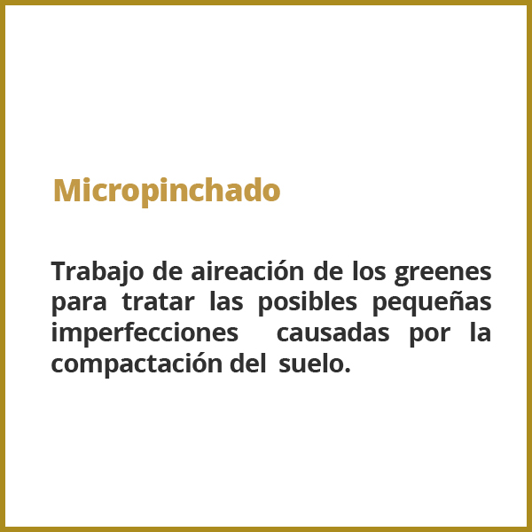 Micropinchado