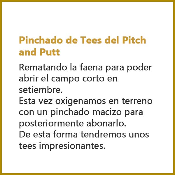 Pinchado de Tees del Pitch and Putt