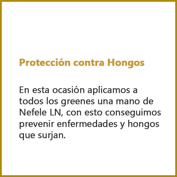 Protección contra hongos