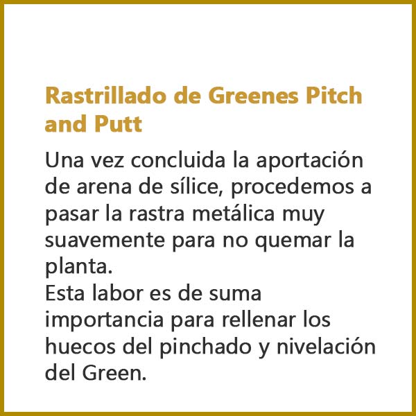 Rastrillado de Greenes Pitch and Putt