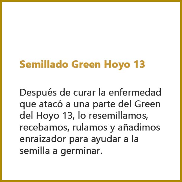 Semillado Green Hoyo 13