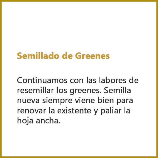 Semilado Greenes