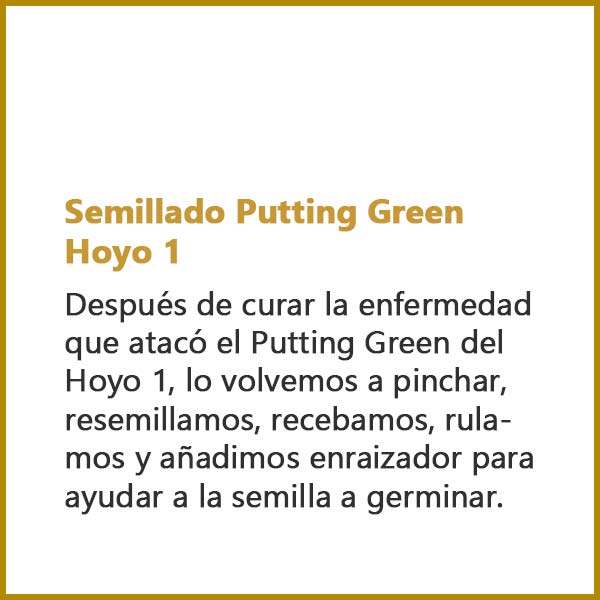 Semillado Putting Green Hoyo 1