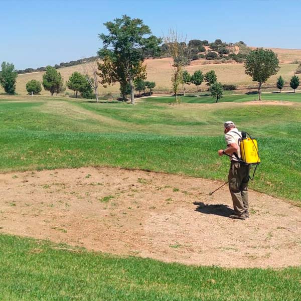 Tratamiento Bunkers Pitch and Putt