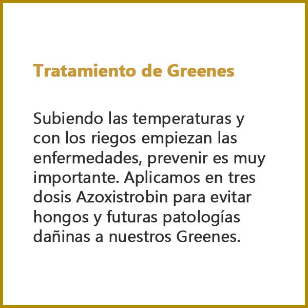 Tratamiento de Greenes