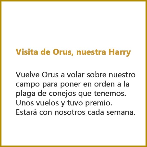Visita de Orus, nuestra Harry