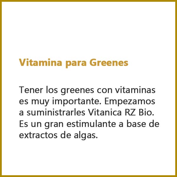Vitamina para Greenes