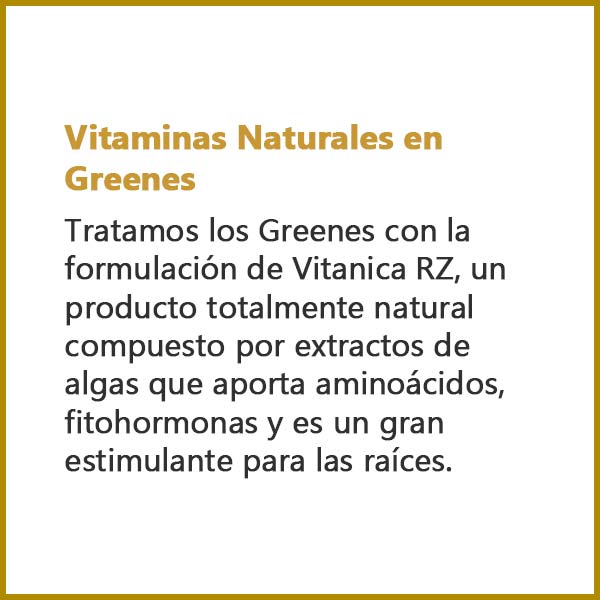 Vitaminas Naturales en Greenes